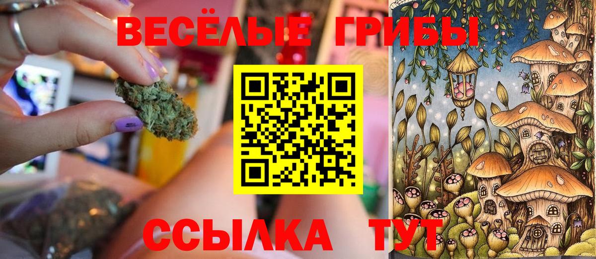 Галлюциногенные грибы Magic Shrooms  Псилоцибиновые грибы Magic Shrooms  цена   Вход с VPN  Зеленокумск 